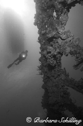 Diver descending on to the Wreck of the RMS Rhone by Barbara Schilling 